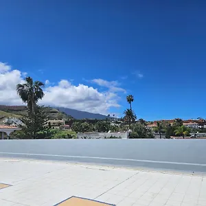 Agave Puerto de la Cruz (Tenerife)